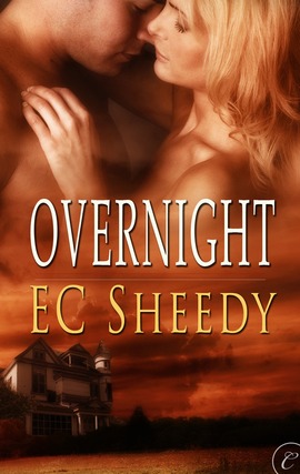 Title details for Overnight by EC Sheedy - Available